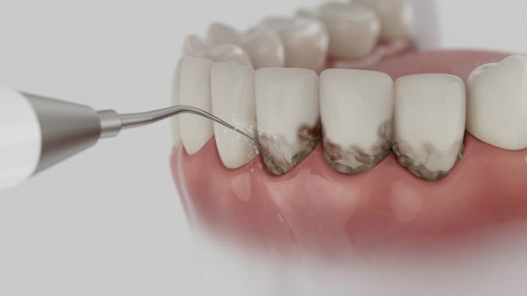 Reliable Dental contractor in Crisfield, MD by Dentist Open Now